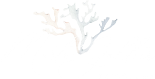 Galtier psicologa Zaragoza